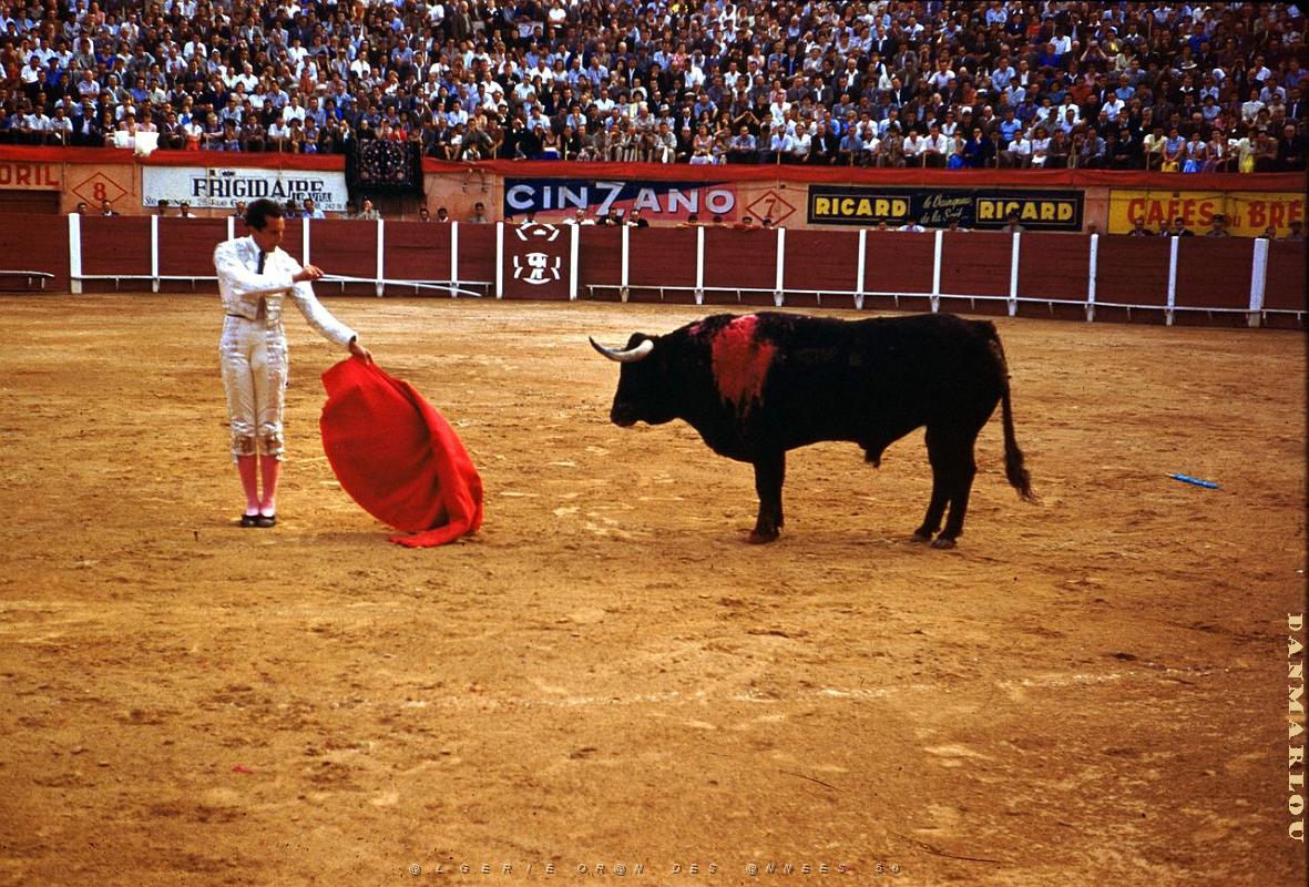 Oran- Arenes d' Eckmulh 39.jpg